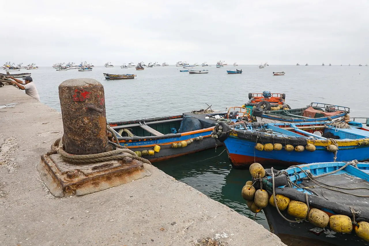 Lanchas de pesca artesanal azules amarradas junto a un muelle de la bahía de Sechura