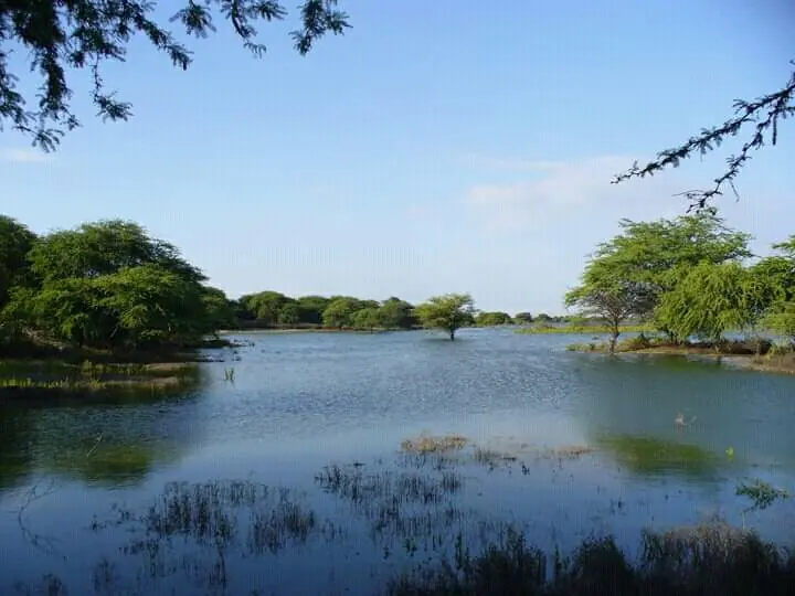 Laguna Ñapique de aguas azules rodeada de árboles verdes bajo un cielo despejado